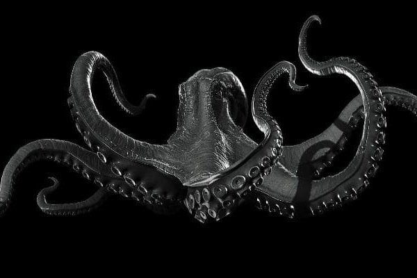 Kraken tg