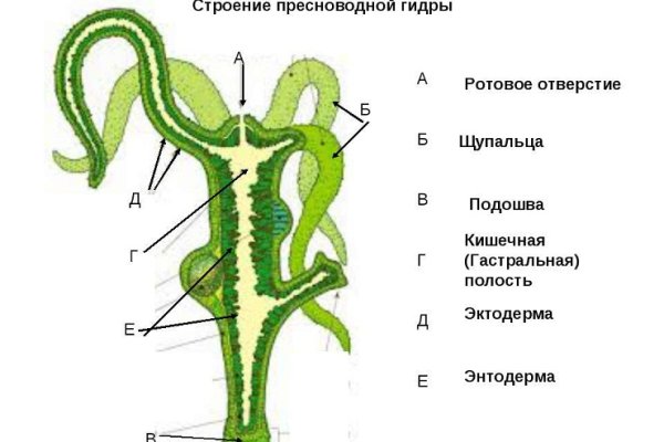 Ссылка на кракен в тор