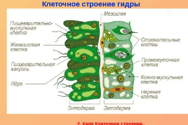 Сайт кракен рабочая ссылка